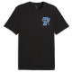 Puma Ανδρική κοντομάνικη μπλούζα Graphic Varsity T-Shirt